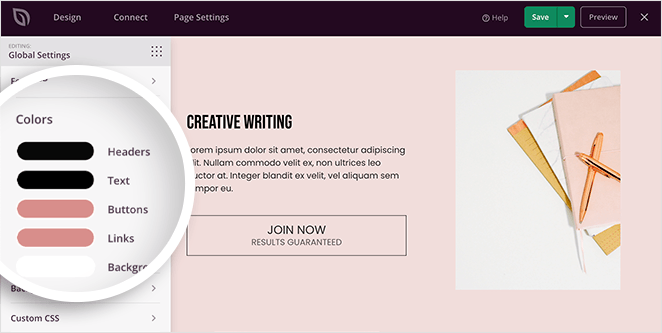 Choose custom color settings for your WordPress landing page

