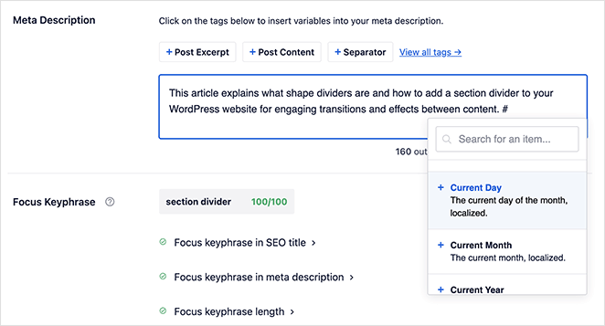 Meta title and description fields in AIOSEO plugin