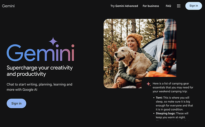 Google Gemini
